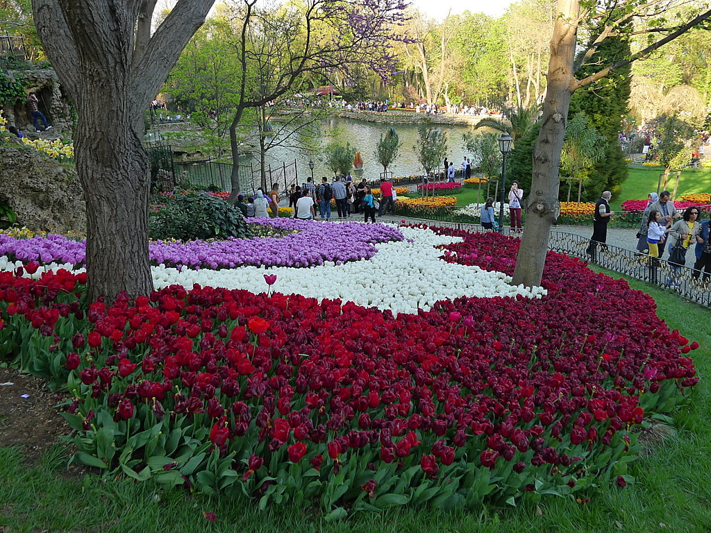 l Tulip time in Istanbul